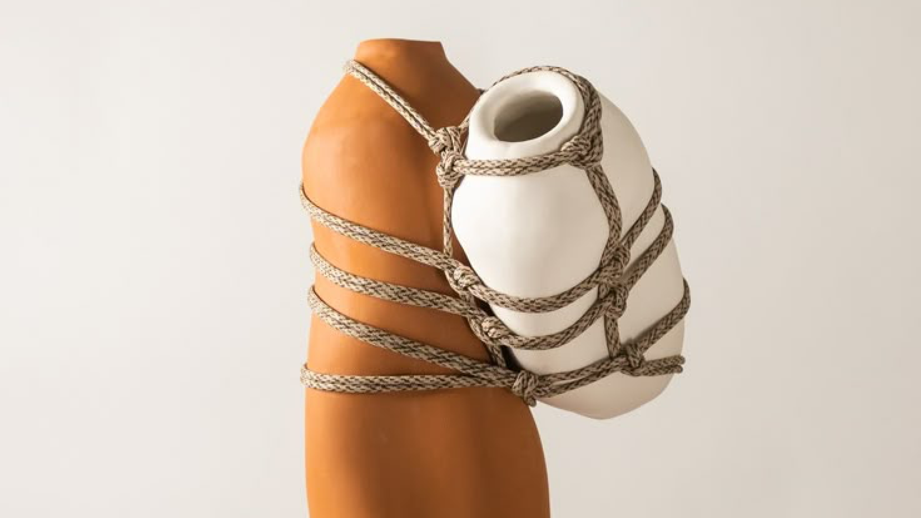 Library Showcase Image