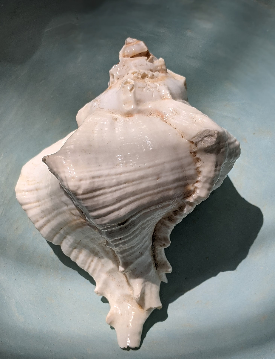 Hero background image