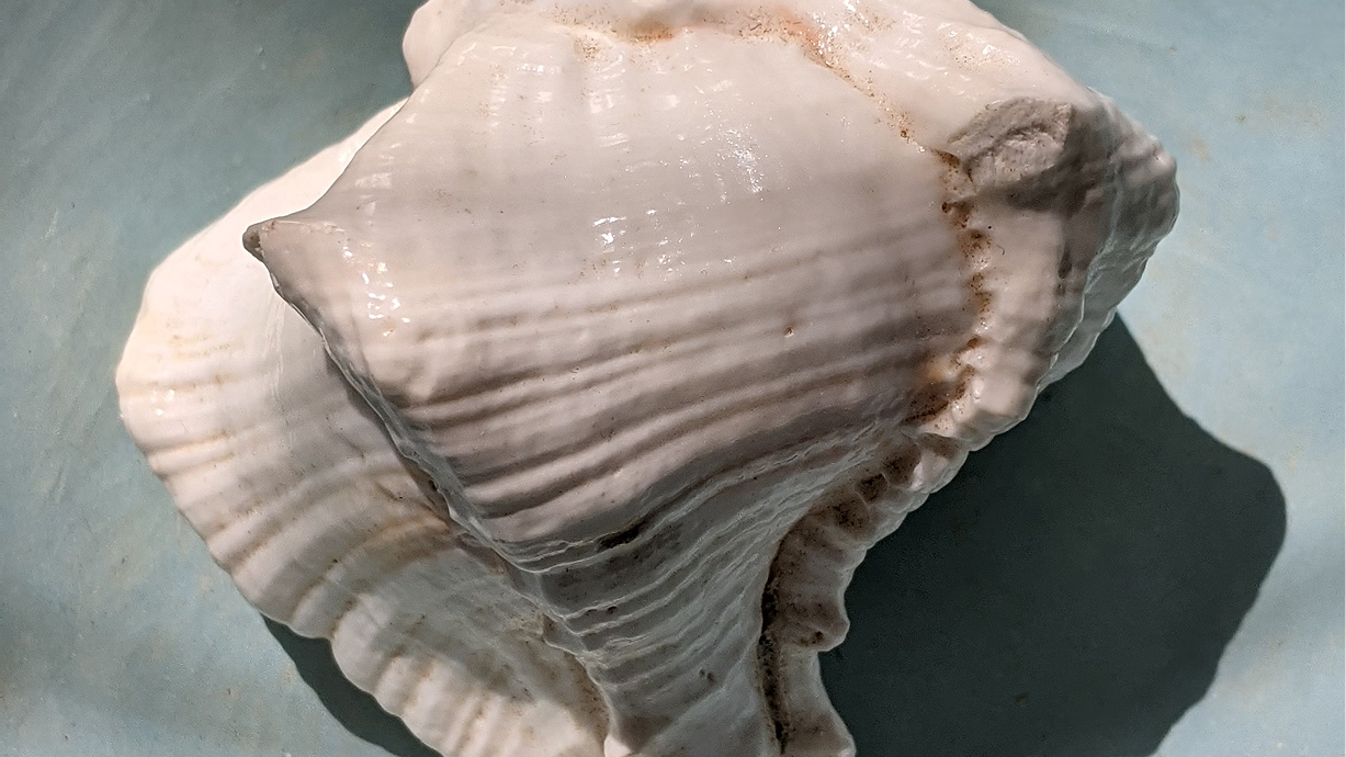 Hero background image